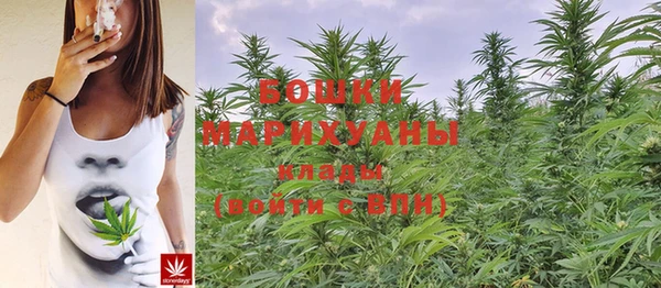 каннабис Вяземский