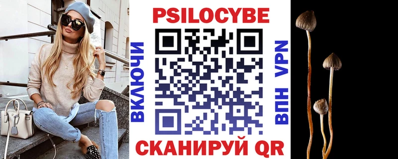 Купить закладки  Очёр  Галлюциногенные грибы мицелий 