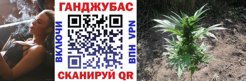 Купить закладки  Очёр  Канабис SATIVA & INDICA 